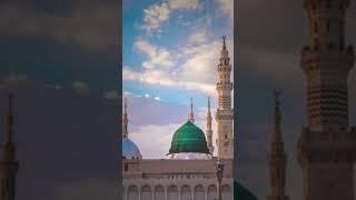 Jashn e Amad e Rasool - Farhan Ali Qadri #islam #freepalestine #shorts #youtubeshorts #shortvideo