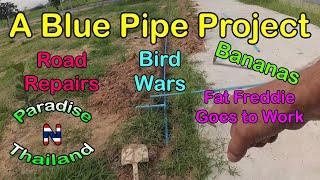 A Blue Pipe Project