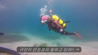 2019년 7월20일  DIVE  HOLIC  다이브홀릭 스쿠버 다이빙투어 강원도 고성 교암  베짱이리조트 국내다이빙
