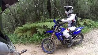 Donnybrook/Toorbul trail ride