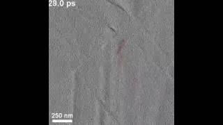 Difference images of phonon propagation from WSe2 step-edge (UEM)