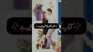 ishq muhabbat or junoon novel #viral #video #short #shorts #youtubeshorts