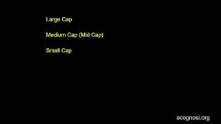 Market Capitalization and Large Cap, Medium Cap and Small Cap Stocks