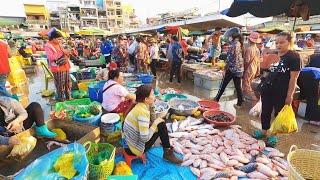 Wonderful ! Cambodia Fish Market Scenes - Early Morning Market Scenes of Vendors & Buyers Activities