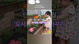작은 손으로 가꾸는 정원, 쇼니의 도시농업 시작 " #shorts