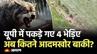 Hindi News Live: Bahraich Wolf Attack | Weather Update | Elvish Yadav | Today News | Breaking News