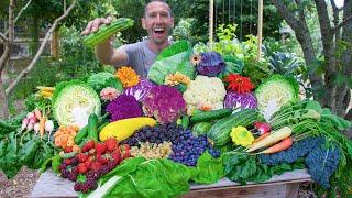 Astonishing Backyard Garden Harvest, Suburban Permaculture Food Forest