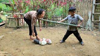 Harvesting green vegetables to sell at the market - the beggar boy takes care of the farm