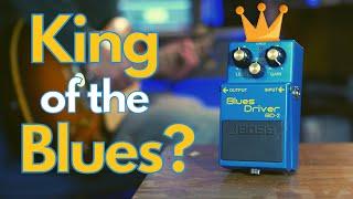 The Best BUDGET Overdrive Guitar Pedal | Blues Driver Demo