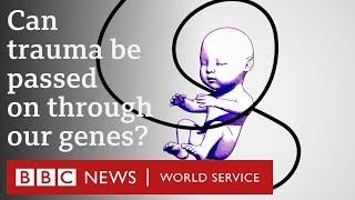 Epigenetics: Can we change our genes? - BBC World Service