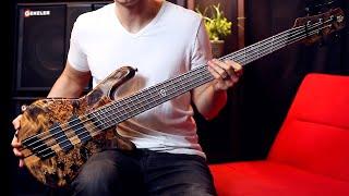 Spector NS Dimension MULTI-SCALE BASS // Demo by Nate Navarro