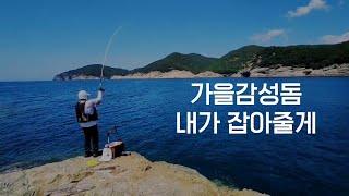 117. 경남 남해 감성돔낚시 포인트 - 긴장을 늧추지마!! 대물은 항상 내 미끼를 노린다 #바다낚시 #감성돔낚시 #방파제낚시