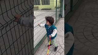 #door #windows #window #açık #kapalı #okul #school #komik #mertlia #ali #arkadaş #açılsusamaçıl
