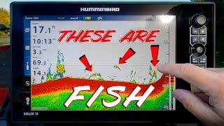 SONAR BASICS: HOW TO FIND FISH