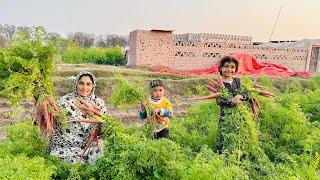 Grand Vegetable Harvesting, 100 Years Old Recipe By Village Woman  I Happy Joint Family