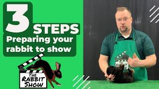 Preparing your rabbit to show @ Michigan State University 4-H Rabbit Show