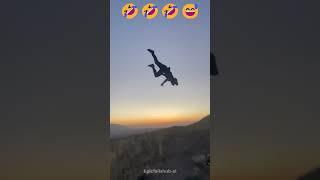 Try Not To Laugh At These Hilarious Moments!