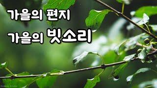 Peaceful rain sound that will give you peace of mindㅣDark screen after 10 minutes