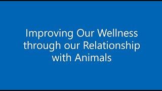 Human & Animal Connection with Taylor Chastain, Ph.D