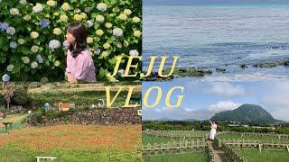 Vlog)제주도 여행 브이로그 | 제주사진스팟,흑돼지,올레,동문야시장,싱가폴남매 친척과 함께한 여행,마노르블랑,섭지코지,금오름,용머리해안,돈사돈,제주소품샵,제주빈티지샵|제주렌터카