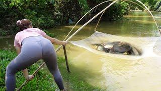 Girl Fishing - Traditional Fishing using Bamboo and Fishing Net in The Rive - Amazing Fishing