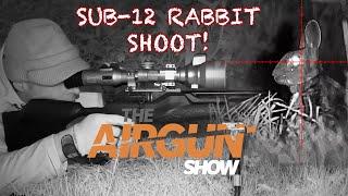 The Airgun Show | Day and night rabbit hunting | Daystate Wolverine air rifle review