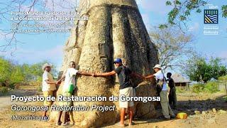 Discurso de Susana Carvalho (Gorongosa), Premio Mundial a la Conservación de la Biodiversidad