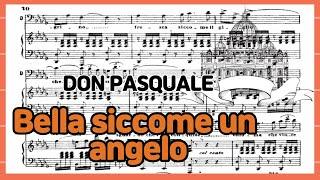 Bella siccome un angelo - DON PASQUALE 'G.Donizetti' Accompaniment 반주