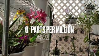 Total Dissolved Solids - TDS | Parts Per Million - PPM | How much? When? #ninjaorchids