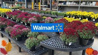 NEW ARRIVALS for the FALL at Walmart Garden Center