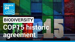 Countries at COP15 reach historic agreement to halt loss of biodiversity • FRANCE 24 English