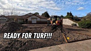 Turf preparation // 3 key steps!