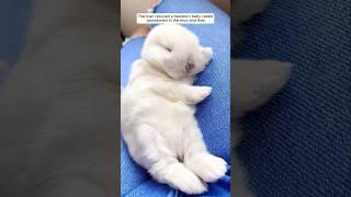 The man rescued a newborn baby rabbit abandoned in the mud and then