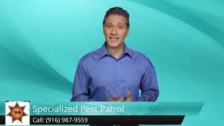 Specialized Pest Patrol Folsom Terrific 5 Star Review by Lena Moss