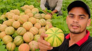 The village  life of Farmers #firstvlog