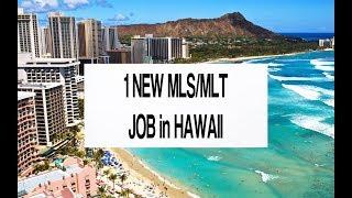 1 NEW MLS, MLT Hawaii Travel Job