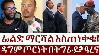 ፊልድ ማርሻል አስጠነቀቁ!  ዳግም ጦርነት በትግራይ? ዓረና