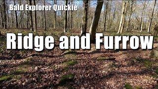 Ridge and Furrow - a Bald Explorer Quickie.