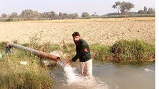 Desi Tubewell swimming pool village Punjab 