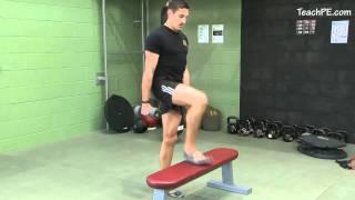 Free weight exercises - Dumbbell Step Up