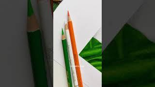 Independence Day Art ️ #vandematram #tricolor #colourepencil #viral #trendingonshorts #drawing