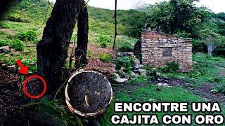 encontramos ORO debajo de este ÁRBOL IMPACTANTE !! DETECCIÓN METALICA Y RADIESTESIA