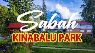 【Sabah Travel】Kinabalu Park 2022 | Kundasang | Walking Tour