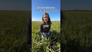 One acre of rice feeds HOW MANY PEOPLE?! #rice #farming