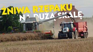 Żniwa na wielką skalę 2023Dziki w rzepaku?!2 claasy w akcjiGPOIW POLFARM