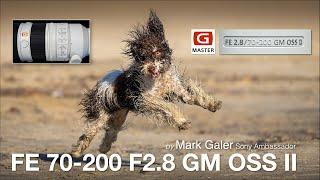 Sony FE 70-200 F2.8 GM OSS II Lens Review