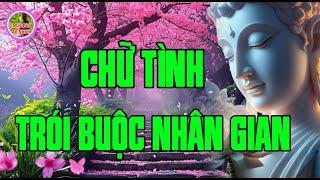 Chữ Tình Trói Buộc Nhân Gian - Xót Thương Người Trong Khổ Nạn Gầy Hao - Suy Ngẫm Rất Hay