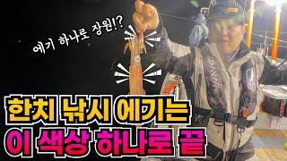 올해 한치낚시에서 가장 강력한 효과를 보여줄 색상은 이겁니다!