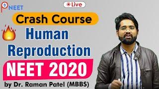 Crash Course Human Reproduction NEET 2020 | ATP STAR | by  Dr. Raman Patel sir