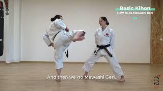 Free Online Shotokan Karate Class - How to do Mawashi Geri (Roundhouse Kick)